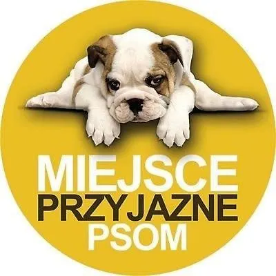 313 W Pieciogwiazdkowym Royal Tulip Plaza 200 M Dobruk Kołobrzeg